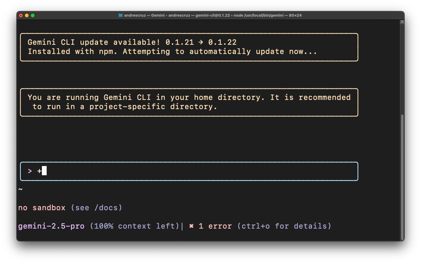 Gemini CLI